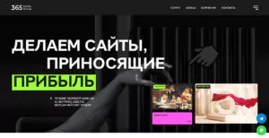 Обзор Веб-студии 365 Media Group