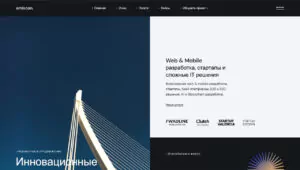 Обзор Веб-студии Amiscon