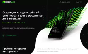 Обзор Веб-студии МедиаЛайм